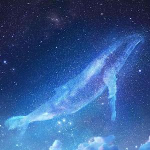 女性稳私㊙️网站
