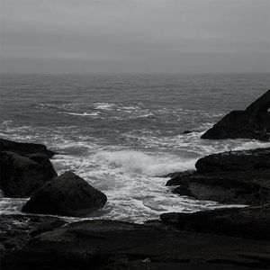 女性稳私㊙️网站
